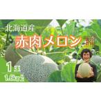 ショッピングふるさと納税 メロン ふるさと納税 メロン メロン赤肉 北海道 栗山町  先行予約 北海道栗山町産 幻のメロン 1玉　YC049