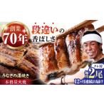 鰻 蒲焼き2尾 NAI009 全12回