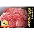 牛肉 サーロイン あか牛の館のくまもとあか牛ヒレ