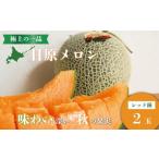 ショッピングふるさと納税 メロン ふるさと納税 メロン メロン赤肉 北海道 栗山町  先行予約 極上の一品「日原メロン（レッド種）」（1.7kg相当×2玉）　YE003