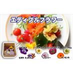 野菜類 食べられる綺麗なお花 エディブルフラワー
