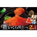 ふるさと納税 いくら 北海道 別海町 希少ないくら 計500g 250g×1パック 2回 お届け 2ヵ月 定期便 漁協 直送 本場「北海道」 いくら 醤油漬け( 定期便 海鮮 …