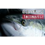 旬の鮮魚等 ひみ寒ぶり一本 三枚おろし 真空パック