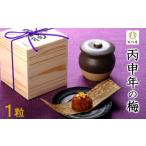 加工品等 梅干 丙申年の梅 1粒