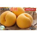 もも 黄桃 つきあかり ゆめおうみ 約2kg