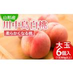 もも 川中島 白桃 秀品 大玉 6個入