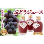 果汁飲料 ぶどう 石井農園 ぶどうジュース 200ml入
