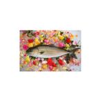 魚貝類 かのやカンパチロイン2柵入り カマ1個入