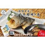 旬の鮮魚等 漁協直送 レンジで本格焼き魚5種セット