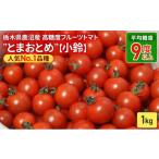 fu.... налог овощи вид помидор Tochigi префектура олень болото город Tochigi префектура олень болото производство высота сахар раз фрукты помидор ~.....~ популярный No.1 товар вид маленький колокольчик 1kg овощи 2025 год 12 месяц последняя декада ~2026 год 6 месяц сверху ....