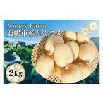 人参 大根 他根菜 れんこん 2kg