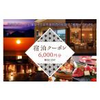宿泊券 旅館 民宿 宿泊クーポン3 000円分