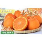 紀州有田産不知火 しらぬひ 約8.5kg