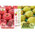梨 ラ フランス&りんご 2回定期便 hi003-158