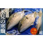 旬の鮮魚等 天然寒鰤 ひみ寒ぶり 一本丸ごと便