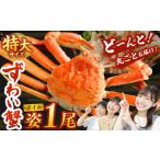 ふるさと納税 カニ ずわいガニ 大阪府 阪南市 特大 ボイル ズワイ蟹 姿 750g 1尾 | 海鮮 カニ かに 蟹 ズワイガニ かにみそ カニみそ ボイル 瞬間冷凍 冷凍