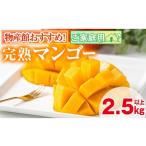 ショッピングふるさと納税 マンゴー ふるさと納税 マンゴー 鹿児島県 東串良町  0255911a 先行予約・数量限定 南国鹿児島県産の太陽の恵み 完熟マンゴー(計2.5kg以上・5-7個入り) 果物 フルーツ …