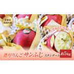 ふるさと納税 りんご 青森県 南部町 青森県南部町産 濃厚りんごサンふじ 約5kg アグリーデザイン スタンダード 青森りんご リンゴ 林檎 アップル 青森県 南部…