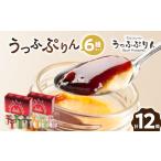 菓子 プリン うっふぷりん6種セット 12個入_デザート