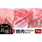 かつみの島豚いちばん焼肉バラエティセット750g 250g×3パッ…