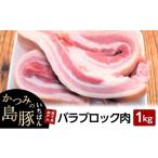 かつみの島豚いちばん豚バラブロック肉 1kg