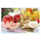 ふるさと納税 梨 長野県 喬木村 8-J20　桃と梨（南水）のジューシーリレー