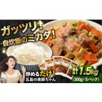 ふるさと納税 豚肉 長崎県 五島市 美豚ちゃん300g×5個 五島市／長崎フードサービス PEL001 簡単 調理 豚肉 豚 レトルト パック 小分け 国産 焼肉 加工 肉