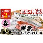 旬の鮮魚等 0301101b 定期便 全2回