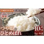 ふるさと納税 米 宮城