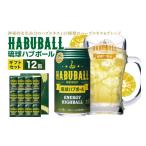 泡盛 沖縄生まれの新感覚ハイボール 琉球ハブボール 350ml