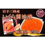 ふるさと納税 いくら 岩手県 大槌町 岩手三陸産 大粒 いくら醤油漬 250g×1個 05