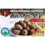 人参 大根 他根菜 越前大野産 里芋 4.5kg