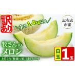 メロン メロン青肉 訳あり 牧さんの訳ありメロン