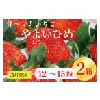 ショッピングふるさと納税 いちご ふるさと納税 いちご 茨城県 行方市  2026年3月発送 甘〜い いちご やよいひめ 2箱(1箱：12粒〜15粒入り)｜いちご イチゴ 苺 ストロベリー やよいひめ 果物 く…