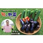 野菜類 茄子 野菜 ナス Heartich Farm旬の野菜セット