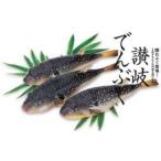 ふるさと納税 フグ 香川県 丸亀市 ふぐ 讃岐でんぶく 1kg 切り身 香川県産 天然 フグ ナシフグ トラフグ に負けない 香川県 丸亀市 1kg（19,000円）