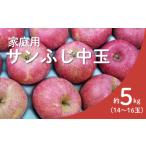 ふるさと納税 りんご 長野県 松川町 KR17-25A りんご サンふじ 家庭用 中玉 約5kg(14〜16玉) / 11月下旬頃〜配送予定 // 長野県 南信州 リンゴ 林檎 ふじ…