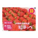 ふるさと納税 いちご 大阪府 河南町 No.256 紅ほっぺ MIX(サイズいろいろ)300-400g程度 / 苺 イチゴ フルーツ 大阪府