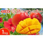 ふるさと納税 マンゴー 沖縄県 宮古島市 CZ010《先行予約 2025年発送》 宮縁果樹園 宮古島産 奇跡のマンゴー 1kg お手頃