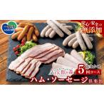 肉 ハム 定期便 全5回 無添加 ソーセージ 詰め合わせ 6種