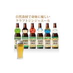 炭酸飲料 サイダー クラフトジンジャーエール