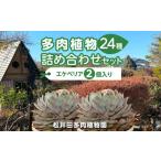 花 苗木 多肉植物24種詰め合わせセット