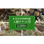 地元のお買物券 松井田多肉植物園チケットB