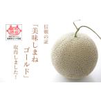 ふるさと納税 メロン メロン青肉 島根県 津和野町 メロンパークのメロン 2025年9月発送・2Lサイズ1玉 1264385