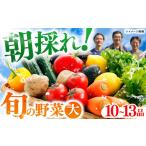 セット 詰合せ 土佐の太陽をいっぱいに浴びた旬の野菜セット