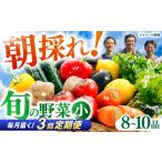 セット 詰合せ 3回定期便 土佐の太陽をいっぱいに浴びた旬…