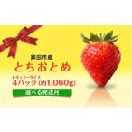 いちご とちおとめ レギュラーサイズ 4パック