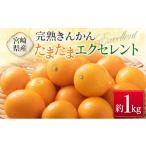 ふるさと納税 みかん・柑橘類 宮崎県 -  宮崎県産 完熟きんかん「たまたまエクセレント」 糖度18度以上 約1kg