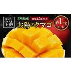 ふるさと納税 マンゴー 宮崎県 - 先行予約 宮崎県産 完熟マンゴー「太陽のタマゴ」約1kg 計2〜3玉 2026年発送 ブランド 南国 トロピカル フルーツ 果物 くだ…