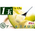 ふるさと納税 メロン メロン青肉 鹿児島県 東串良町 0111109a 訳あり マル福の高級アールスメロン(1玉・1.7kg)メロン フルーツ 果物 果実 1キロ 数量限定 期…